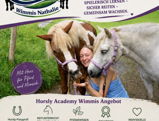 Horsly-Academy-Wimmis